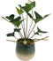 Anthurium Arrow in Florence Green Keramiek – ↨ 40cm – ⌀ 12cm