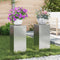 vidaXL - Ligbed - Plantenstandaarden - Pillars - 2 - stuks - 24x24x55 - cm - Gegalvaniseerd - Staal