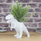 T-REX Planter - Plantenpot Dinosaurus - T-rex Plantenbak - Wit