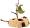 schleich WILD LIFE - Rustplaats voor Stokstaartjes - Speelfigurenset - Kinderspeelgoed voor Jongens en Meisjes - 3 tot 8 jaar - 10 Onderdelen