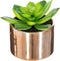 Atmosphera - Keramische Potplant - Kunsplant - Roze pot - H15cm