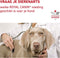 Royal Canin Veterinary Diet Urinary S/O Wet - Hondendieetvoer - 410 g