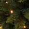 Triumph Tree Bristlecone - Kunstkerstboom met 184 LED-lampjes - H185 x Ø119 cm - Donkergroen