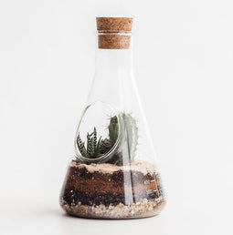 Suck UK Chemistry Terrarium Kit