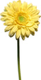 Gerbera Nice yellow 48 cm kunstbloem