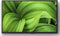 Sony Bravia KD-32W804P - Televisie - 32 inch HD - Android TV met Chromecast