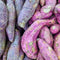 Plant in a Box - Ipomoea batatas - Ipomoea Zoete Aardappel - Set van 3 - Pot 10,5cm - Hoogte 10-15cm