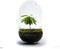 Growing Concepts DIY Duurzaam Ecosysteem Egg Large - Planten - Biophytum Sensitivum - H30xØ18cm