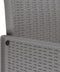 vidaXL - Tuinmeubels - met - Kussens - 4 - stuks - Lichtgrijs - Poly - Rattan