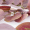 Mica Decorations Eucalyptus Kunstslinger - L180 cm - Roze
