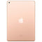 Apple iPad 7 (2019, A10 series) - Goud - 128 GB - WiFi