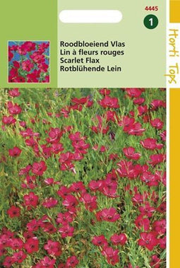 2 stuks Linum Rubrum Grandiflorum, Rood