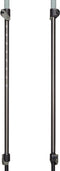 Black Diamond Trail Back Stokken Zilver 100-140 cm