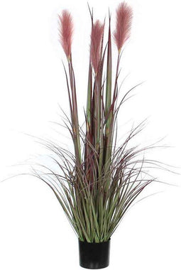 Mica Decorations foxtail in plastic pot bordeaux maat in cm: 120 x 45 - ROOD