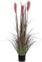 Mica Decorations foxtail in plastic pot bordeaux maat in cm: 120 x 45 - ROOD