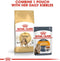 Royal Canin Bengal Adult - Kattenvoer - 2 kg