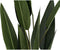 Decoratieve plant DKD Home Decor Groen PE (40 x 40 x 115 cm)