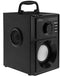 Media-Tech MT3179 - Draadloze luidspreker - Bluetooth 5.1 FM-radio RMS 15W - Zwart