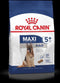 Royal Canin Maxi Adult 5+ jaar oud - Hondenvoer - 15 kg