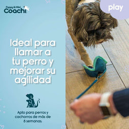 Hondentuigje Coachi