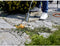 Rothenberger ROT030957E - Gasbranderset - 600 mm brandbuis - 5 meter slang