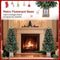 Coast Kerstdecoratie Set - 4-delig - Bomen Slinger Krans - Vlamvertragend PVC (4-delig)