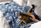 home & comfort Heerlijk Zachte Plaid voor Huisdieren – Blauw – 125x150 cm