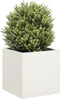 vidaXL - Plantenbak - 40x40x40 - cm - koudgewalst - staal - wit