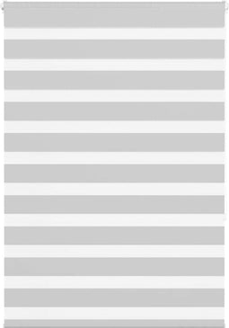 vidaXL - Zebra - rolgordijn - 100x150 - cm - stofbreedte - 95,9 - cm - lichtgrijs