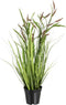 Decoratieve plant 45 x 40 x 74 cm Groen PVC