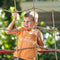 Swing King klimtoestel hout Bokito 240cm - met accessoires