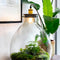 Growing Concepts DIY Duurzaam Ecosysteem Giants Ecolight XXXL - 34 Liter - Planten - Botanische Mix - H52xØ48cm