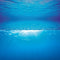 Juwel Aquarium Decoratie - Poster - L - 100x50 cm
