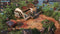 Jagged Alliance 3 - PC - Tactische turn-based gevechten