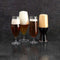 Bohemia Crystal Premiere - Fluitglas Bier 380 ml - Set van 6 (6 stuks)
