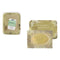Snackdienblad Algon Rechthoekig 32 x 39 cm (36 Stuks)