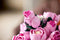 LEGO Botanicals - Roze Rozenboeket - 12 rozen - (10374)