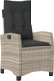 vidaXL-Tuinstoelen-2-st-verstelbaar-met-kussens-poly-rattan-lichtgrijs