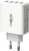 Ansmann HC430 - USB-oplader 30 W 4x USB-A - Wit