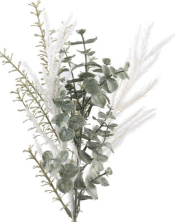 PTMD Leaves Plant wit groene eucalyptus bos