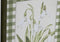 Schilderij Home ESPRIT Groen Beige Shabby Chic Botanische planten 30 x 2,5 x 40 cm (4 Stuks)