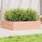 vidaXL - Plantenbak - 90x90x23 - cm - massief - douglashout