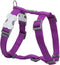 Red Dingo Hondentuig 25mm Neck 46-76cm Body 56-80cm DH-ZZ-PU-25