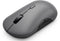 Lenovo GY51S61898 - Muis - 4000 dpi - Grijs