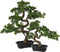 J-Line plant Podocarpus Bonsai - kunststof - groen - large