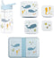 A Little lovely company Back to school set - Drinkfles / 4 Snackdozen / Lunchbox - Ocean