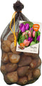 Baltus - Bollen Tulipa Darwin mix roze/paars 40 stuks