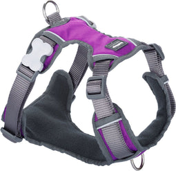 Hondentuigje Red Dingo Dingo 62-108 cm 72-112 cm Paars XL