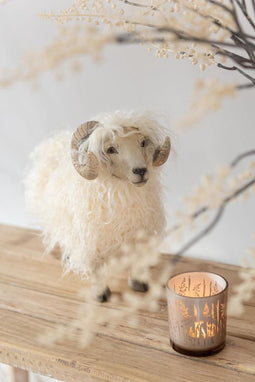 J-Line Geit Poly Beige Small