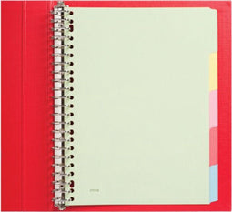 TABBLAD BUDGET 23RINGS KARTON 5 DELIG